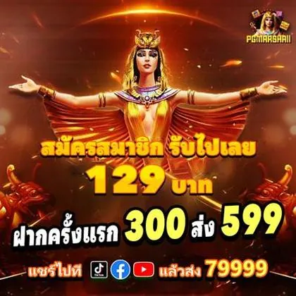 6733 6733
